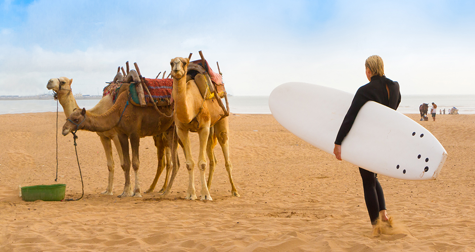 Le surf à Essaouira